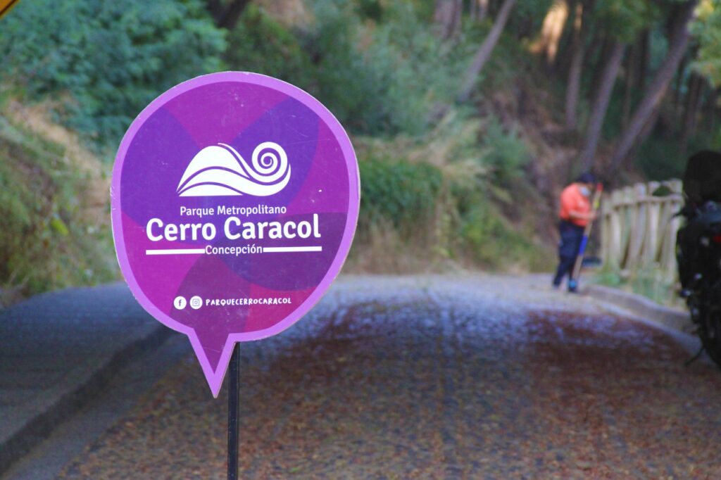 Cerro Caracol ya cuenta con página web como parte de su plan maestro