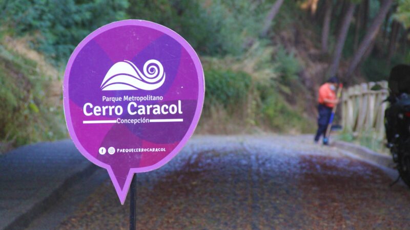 Cerro Caracol ya cuenta con página web como parte de su plan maestro