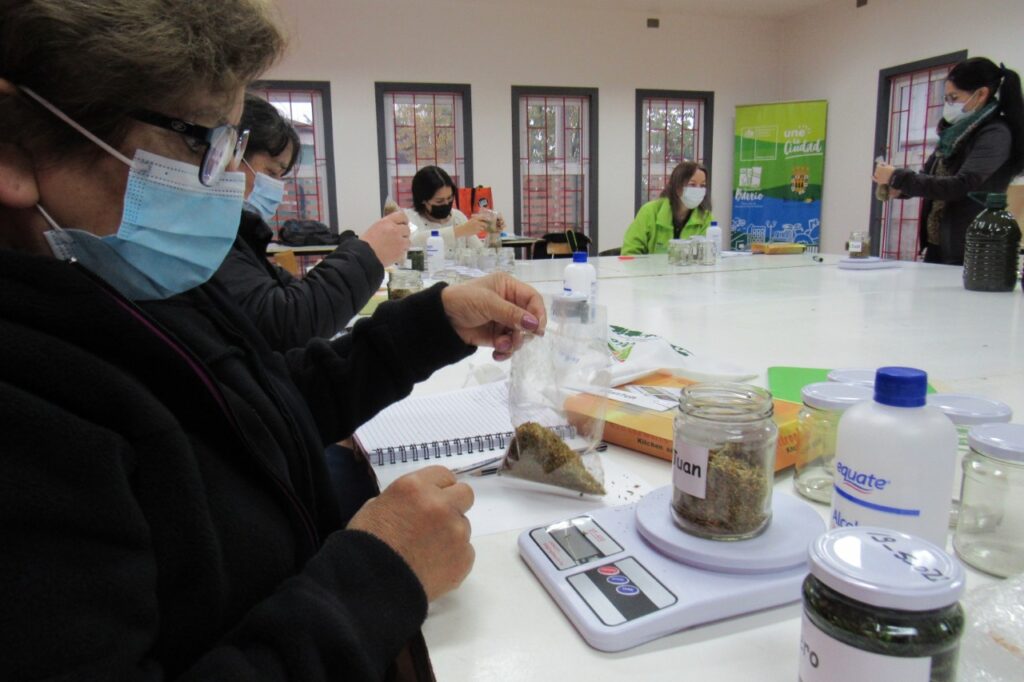 Vecinas de Los Álamos se capacitan en hierbas medicinales gracias al programa Quiero Mi Barrio