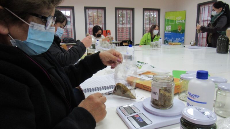 Vecinas de Los Álamos se capacitan en hierbas medicinales gracias al programa Quiero Mi Barrio