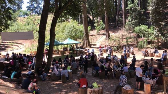 Estudiantes de octavo básico realizan su licenciatura en el Parque Cerro Caracol