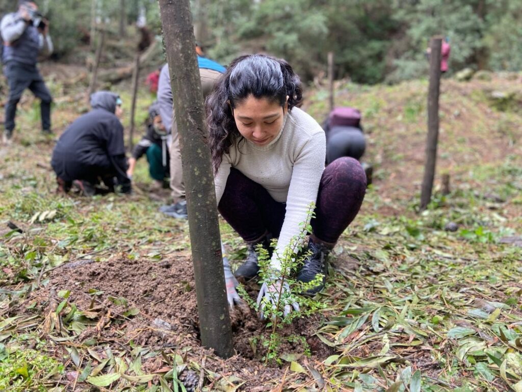 Parque Cerro Caracol lanza red comunitaria para la restauración de su flora nativa