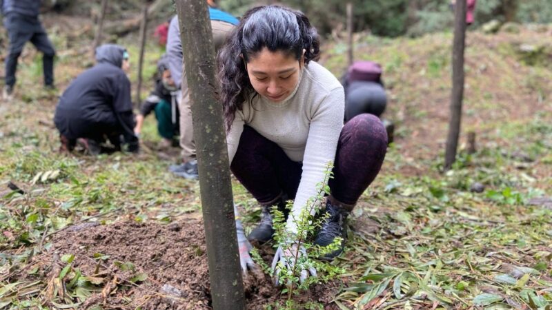 Parque Cerro Caracol lanza red comunitaria para la restauración de su flora nativa
