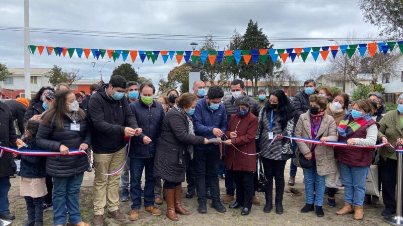Adultos mayores del sector Higueras en Talcahuano cuentan con nuevas luminarias