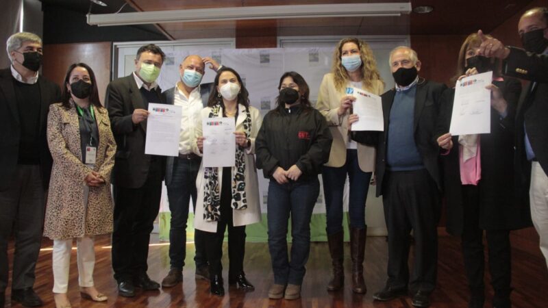 Nuevo programa impulsa la industrialización de viviendas en madera en la Región del Biobío