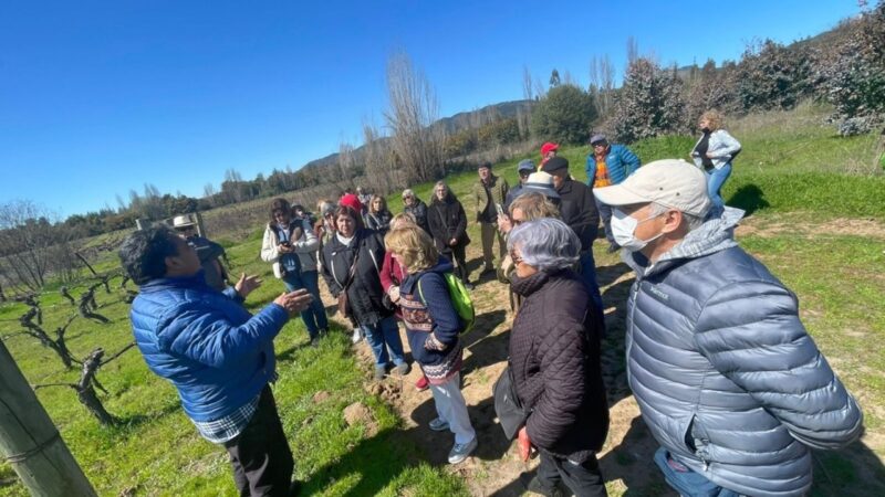 Con actividad recreativa en Valle del Itata potencian autonomía de adultos mayores en Talcahuano