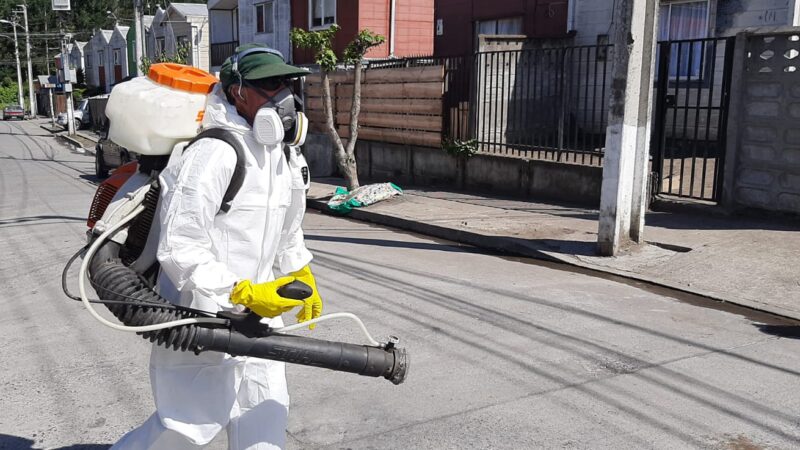 507 familias de Hualqui son beneficiadas con operativo sanitario