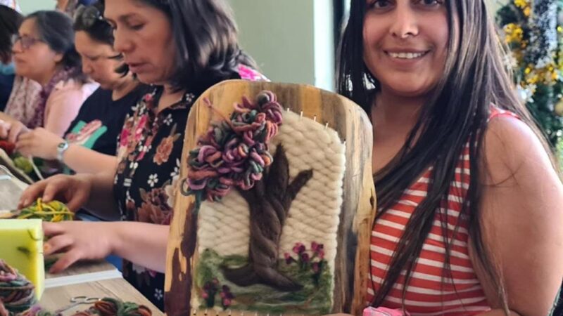 En Arauco mujeres de barrio Pescador se capacitan en taller de vellón