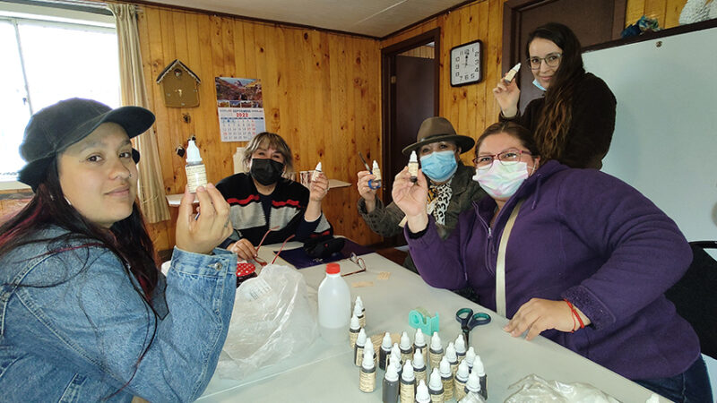 Familias de Remodelación Paicaví se certifican en elaboración de productos con plantas medicinales