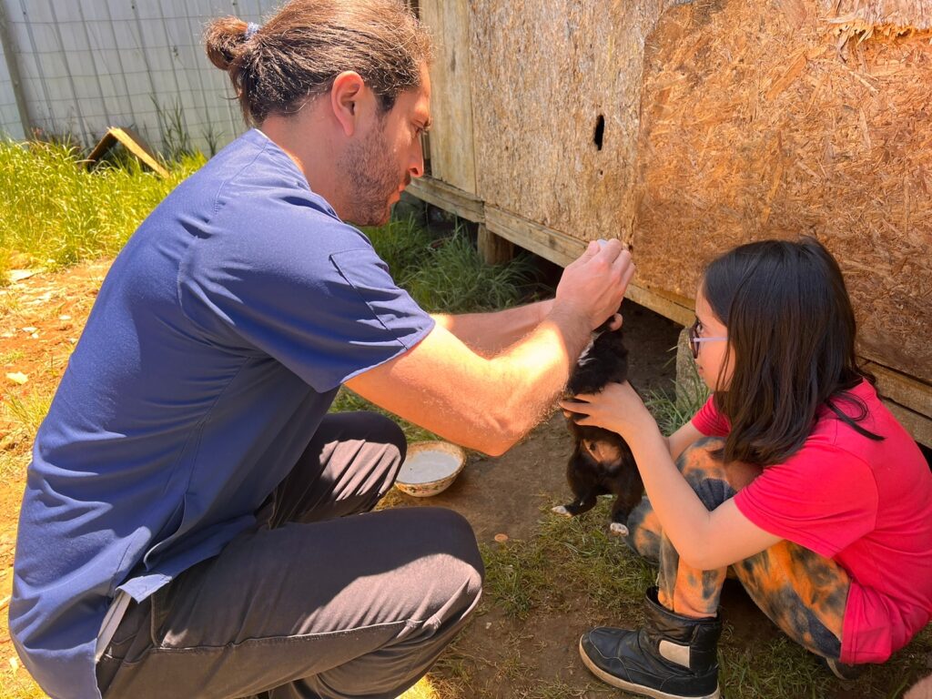 Más de 100 mascotas fueron esterilizadas gratuitamente en Lebu