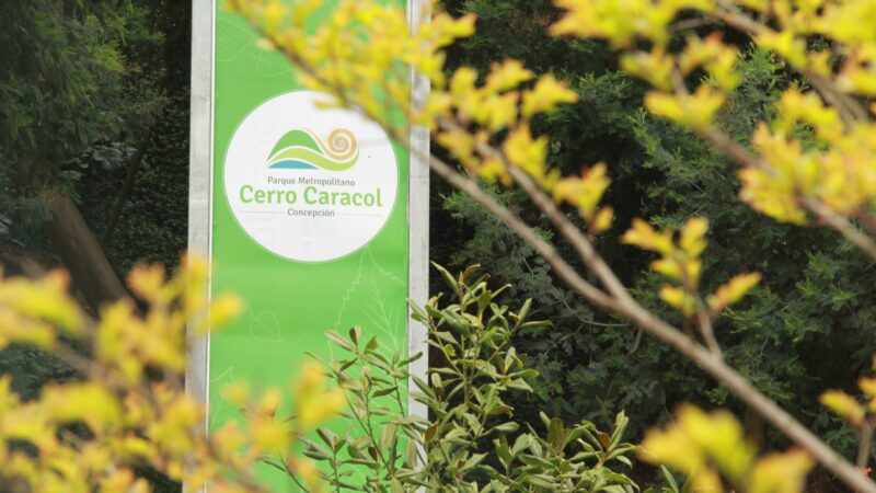 Por altas temperaturas cierra Parque Metropolitano Cerro Caracol
