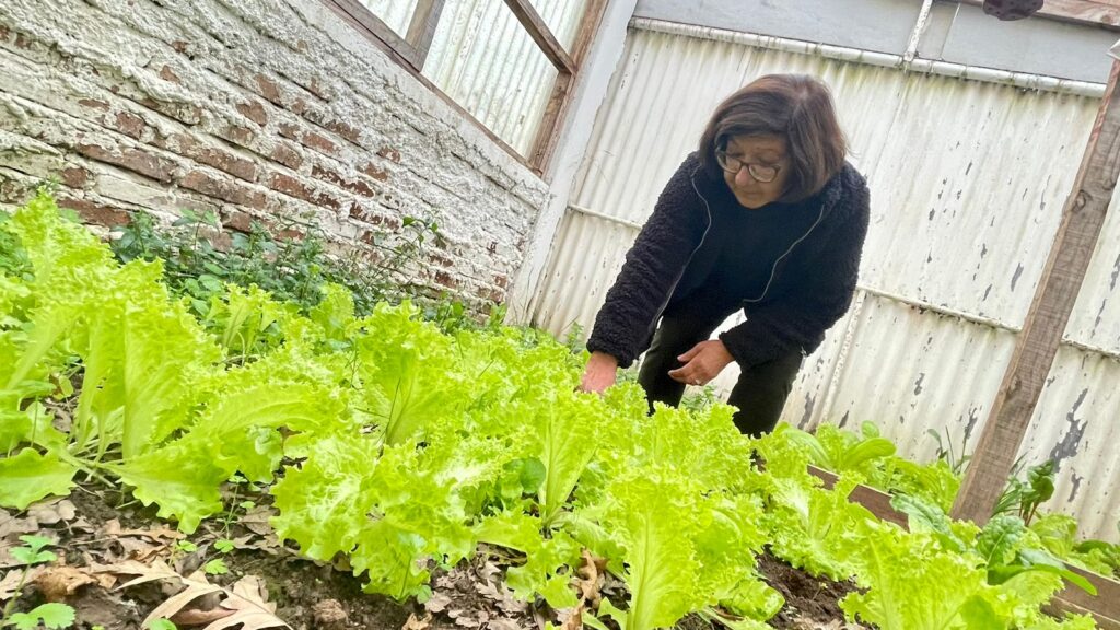Vecinas de Talcahuano cultivan sus propios alimentos