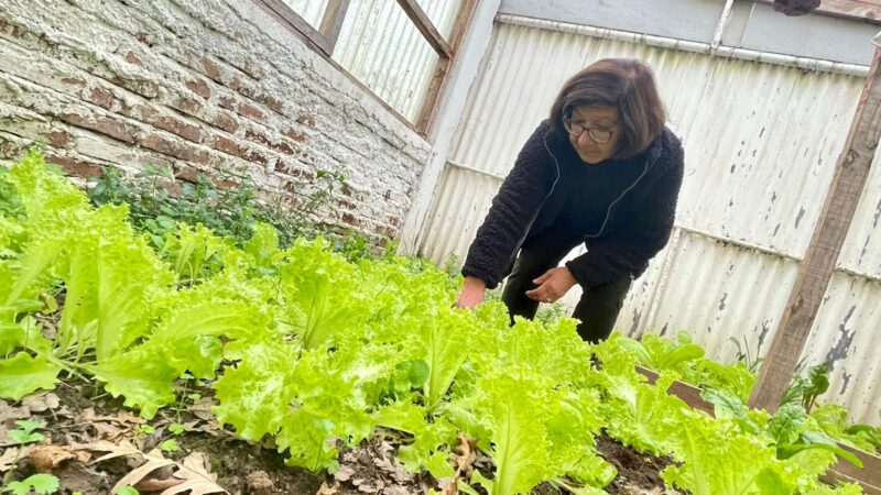 Vecinas de Talcahuano cultivan sus propios alimentos
