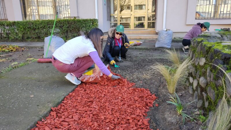 Familias de Remodelación Paicaví recuperan espacios públicos