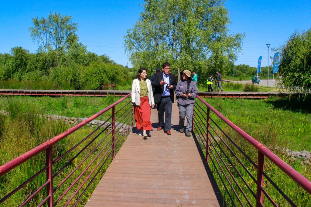 Minvu inicia conservación en el parque humedal Los Batros
