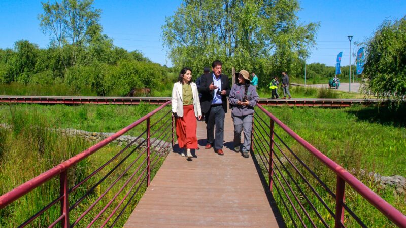 Minvu inicia conservación en el parque humedal Los Batros