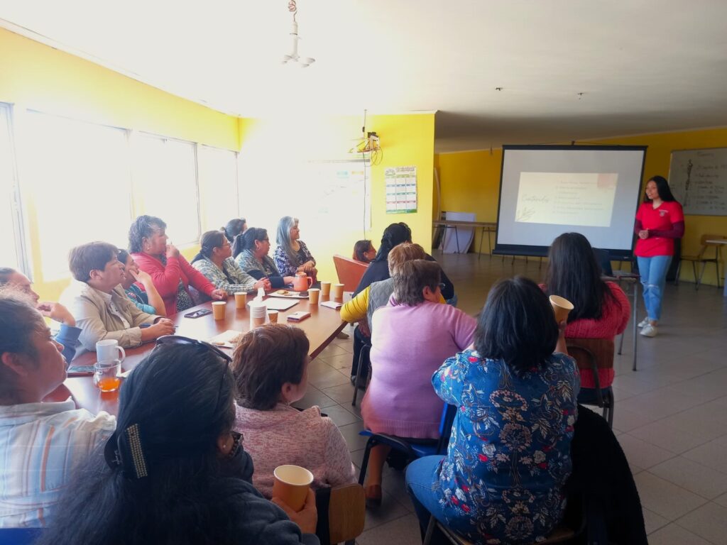 Mujeres de Villa San Francisco en Concepción cursan talleres de salud femenina