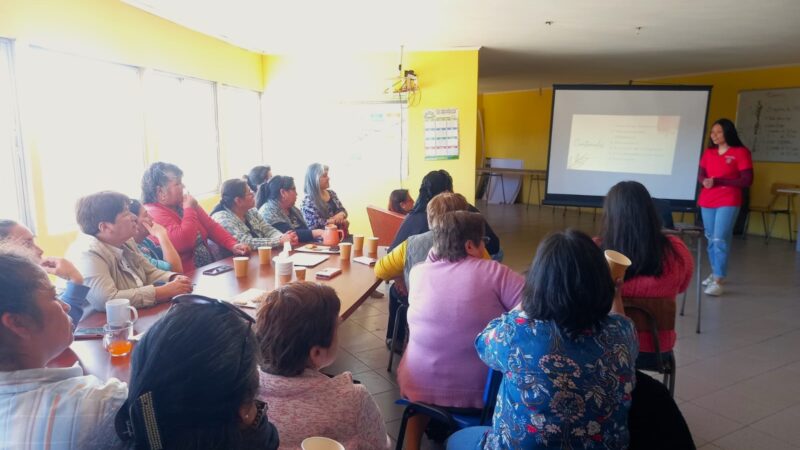 Mujeres de Villa San Francisco en Concepción cursan talleres de salud femenina