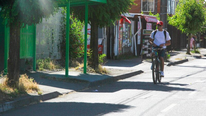 Quiero mi Barrio deja su legado en Sajonia y Aníbal Pinto de Hualpén