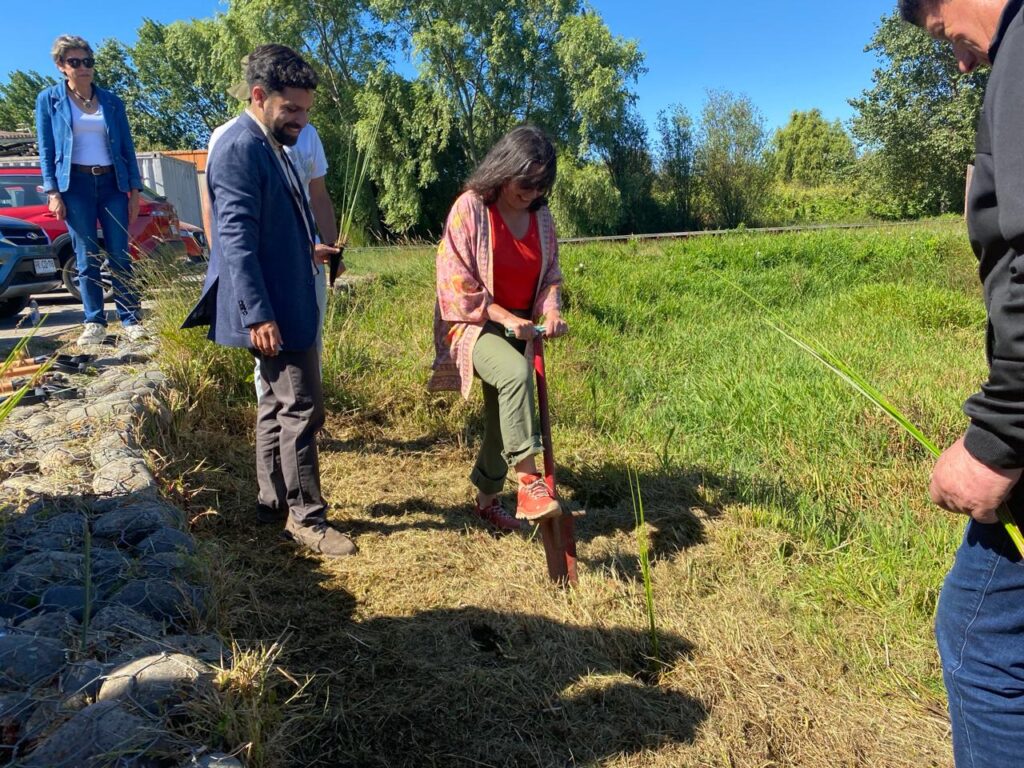 Con plantación de juncos se conmemoró Día Mundial de Los Humedales en Los Batros