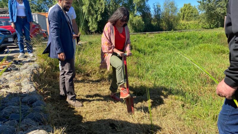 Con plantación de juncos se conmemoró Día Mundial de Los Humedales en Los Batros