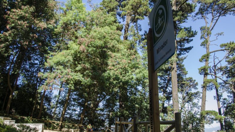 Trabajadores del Cerro Caracol se capacitan en tenencia responsable de mascotas