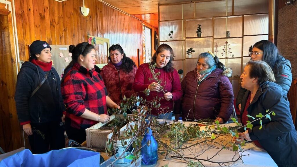 Quiero mi Barrio lanza en Tirúa talleres gratuitos enfocados en el cuidado de la tierra