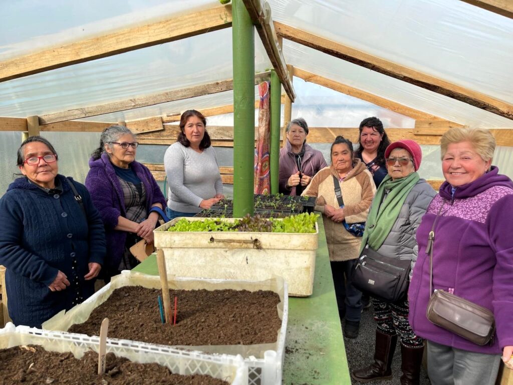 Familias de Las Dunas finalizan con éxito talleres gratuitos sobre cuidado de la tierra