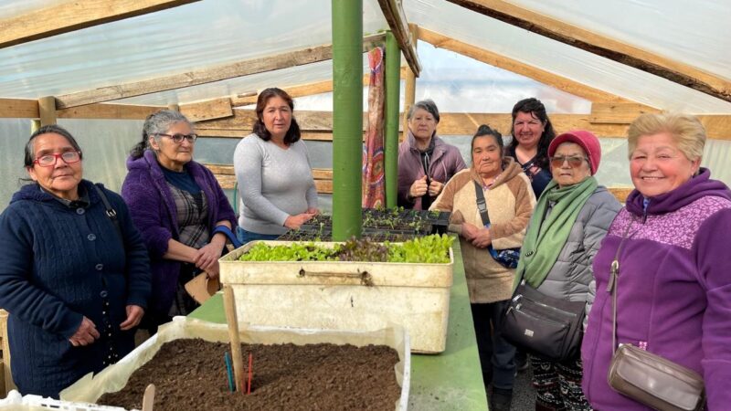 Familias de Las Dunas finalizan con éxito talleres gratuitos sobre cuidado de la tierra