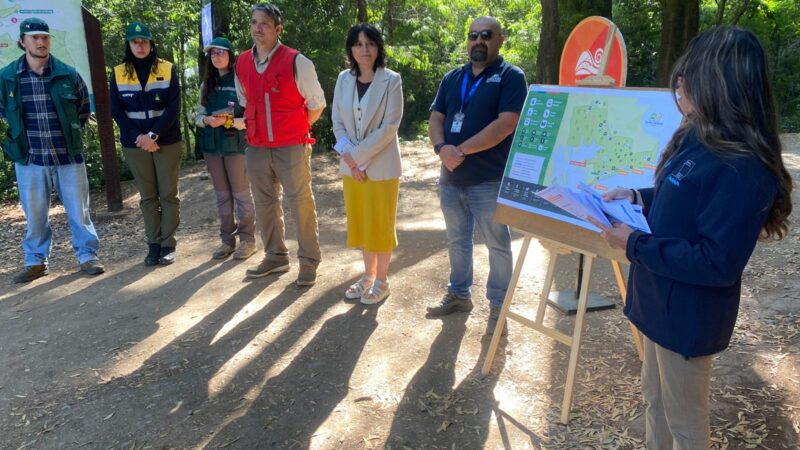 Minvu entrega recomendaciones para la prevención de incendios forestales