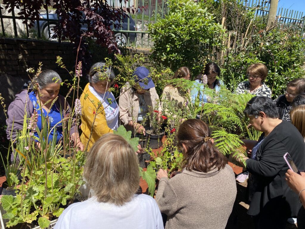 Áreas verdes de cerro David Fuentes en Talcahuano se transforman con taller de jardinería