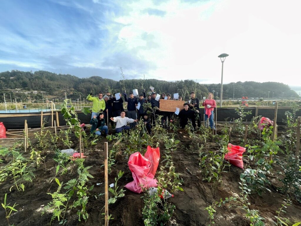 Barrio Las Dunas de Tirúa innova en proyecto de arborización comunitaria con técnica japonesa Miyawaki