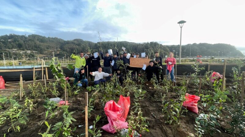 Barrio Las Dunas de Tirúa innova en proyecto de arborización comunitaria con técnica japonesa Miyawaki