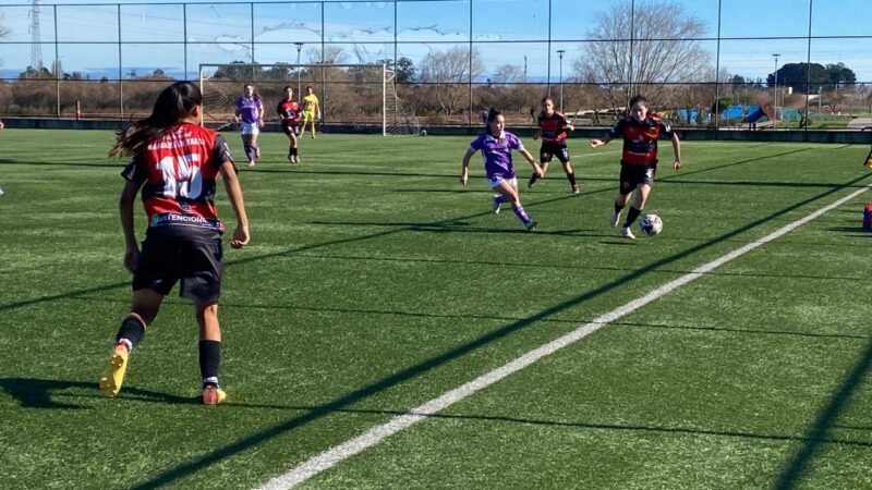 El fútbol femenino se vive con pasión en el Parque Humedal Los Batros: Un espacio de sueños y oportunidades
