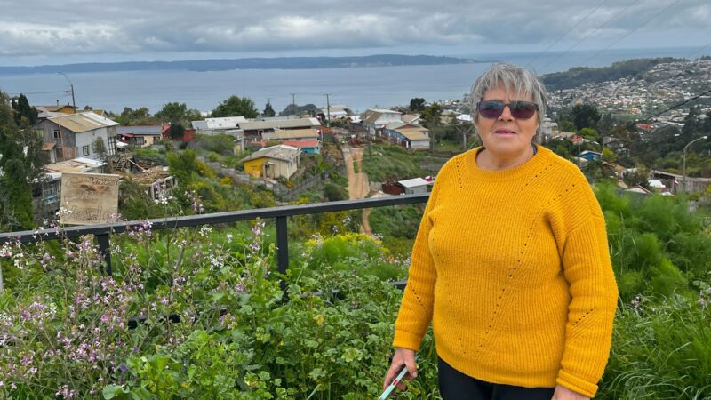 Vecina de El Santo dedica su vida a fortalecer la comunidad y recuperar la historia del cerro