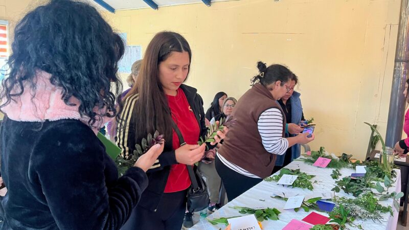 Vecinas de Pehuén exploran el uso de hierbas medicinales en taller de Quiero Mi Barrio
