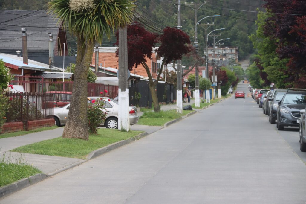 Fin al asbesto: 146 familias de Villa Huáscar y Parque Residencial Collao son beneficiadas con cambio de techumbres