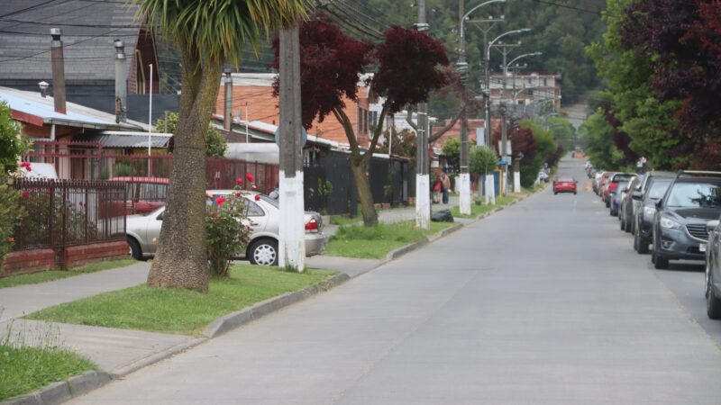 Fin al asbesto: 146 familias de Villa Huáscar y Parque Residencial Collao son beneficiadas con cambio de techumbres
