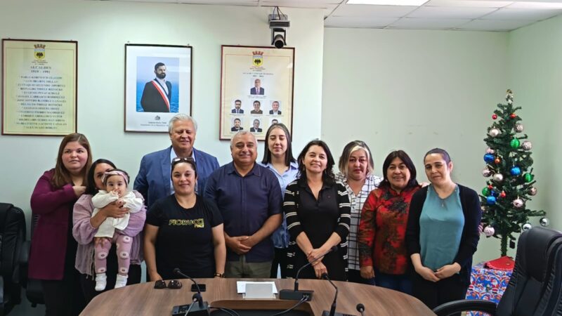 Seremi de Vivienda y Urbanismo confirma luz verde para que emblemático proyecto El Nogal de Contulmo pueda iniciar obras