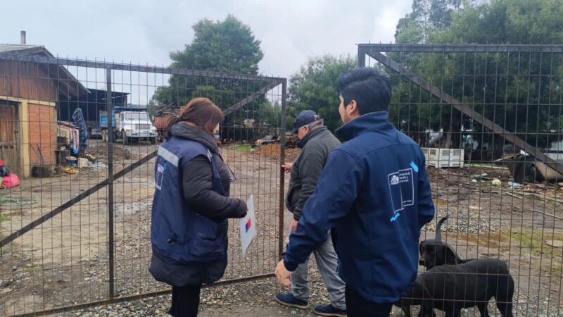 Minvu Biobío inicia despliegue para aplicación de Ficha de Evaluación de Vivienda tras incendios forestales