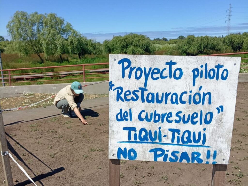 Día Mundial de los Humedales: Minvu resalta la conservación del Parque Humedal Los Batros