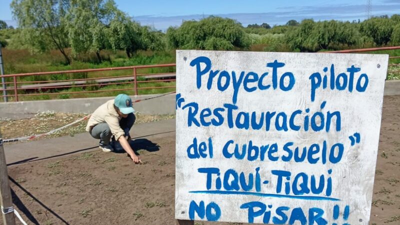Día Mundial de los Humedales: Minvu resalta la conservación del Parque Humedal Los Batros
