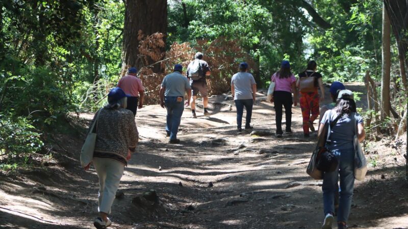 Reabre el Parque Metropolitano Cerro Caracol