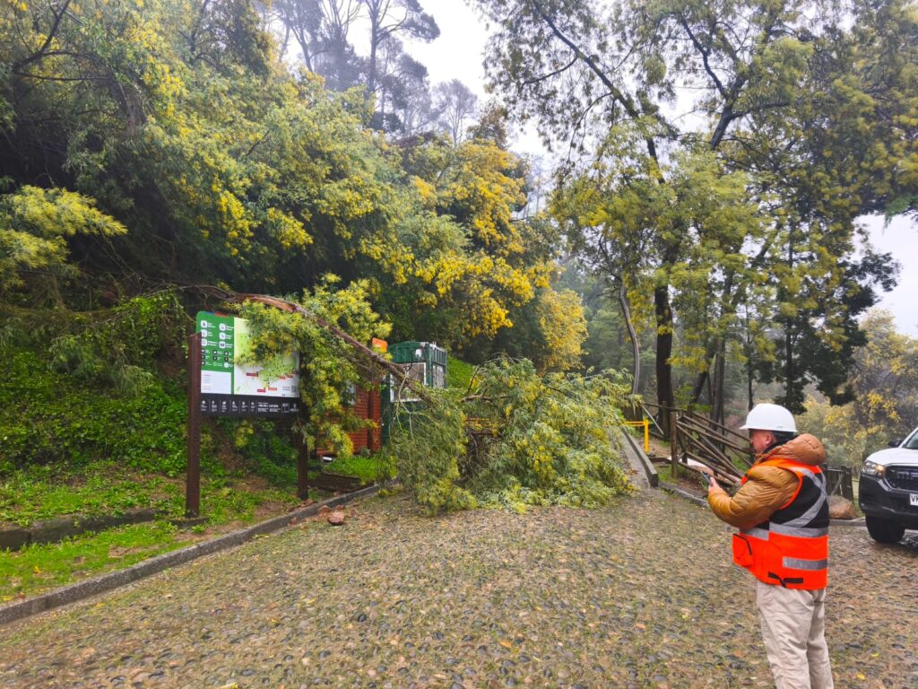 Sistema frontal obliga al cierre de tres parques urbanos del Minvu en Biobío: equipos se despliegan para evaluar daños y resguardar seguridad