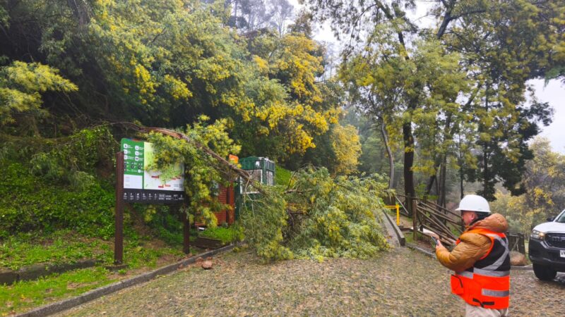 Sistema frontal obliga al cierre de tres parques urbanos del Minvu en Biobío: equipos se despliegan para evaluar daños y resguardar seguridad