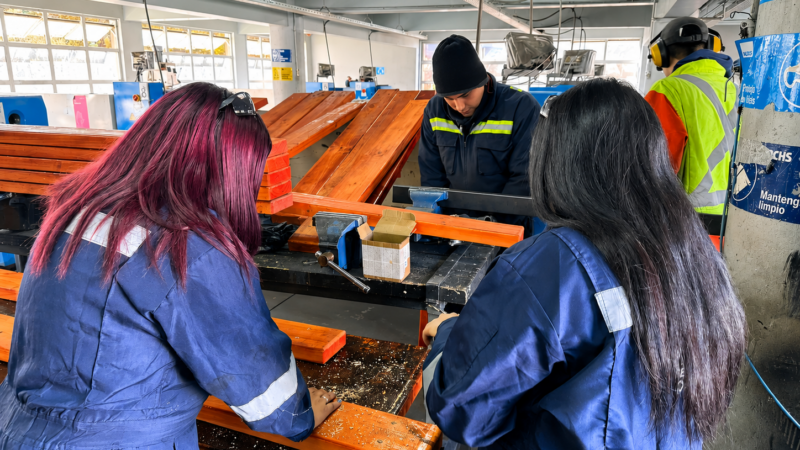 Estudiantes de Nacimiento construyen mobiliario urbano para apoyar a adultos mayores del Barrio Las Quintas