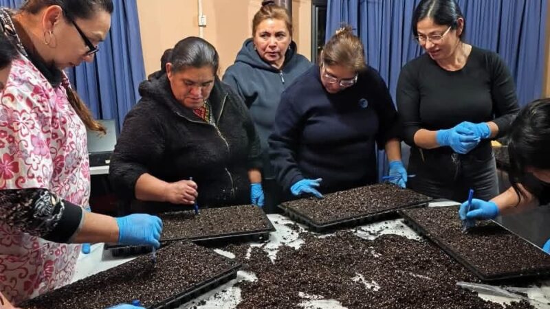 Quiero mi Barrio impulsa huertos familiares y rescata la tradición campesina en Santa Juana