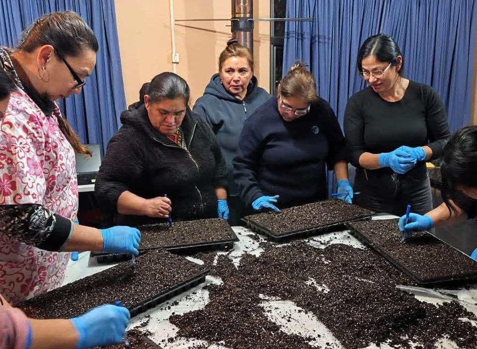 Quiero mi Barrio impulsa huertos familiares y rescata la tradición campesina en Santa Juana